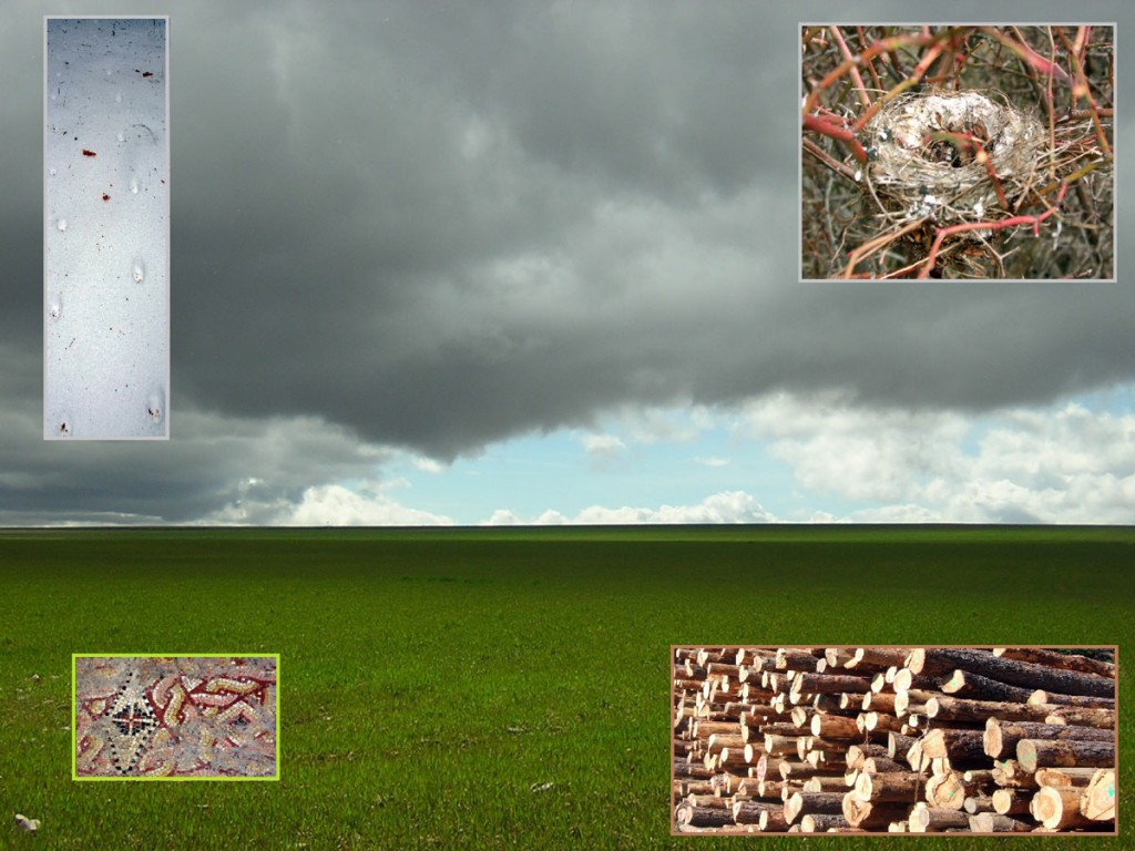 VI Jornadas de Naturaleza, librería 'Antares', Segovia.