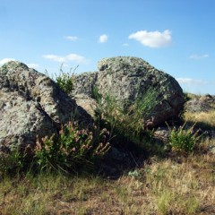 VI Jornadas de Naturaleza (Librería Antares) Segovia