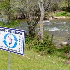 La protección del Eresma y su fauna a su paso por la capital de Segovia