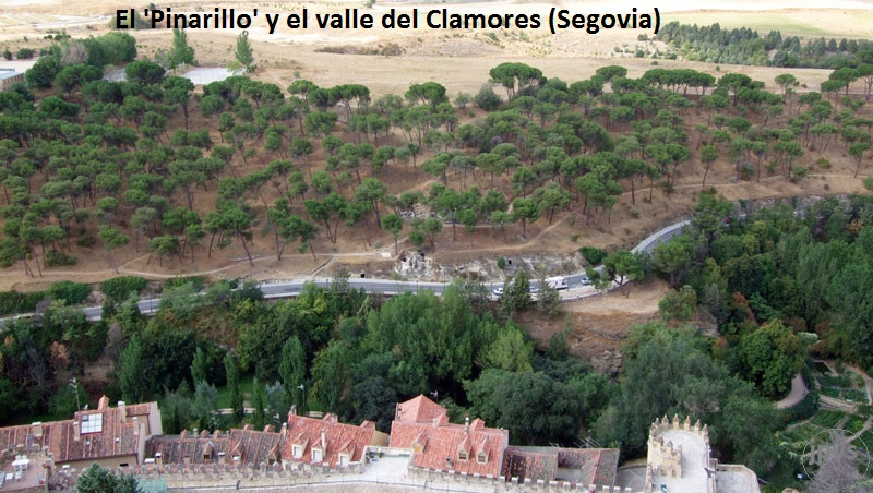 ‘El Pinarillo’, Segovia.