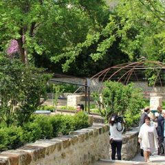 Paseando por el Jardín del Rey