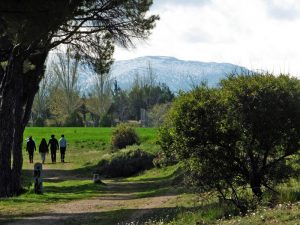 Caminantes por la linde del Pinarillo, al fondo la Sierra de Guadarrama.