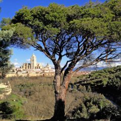 Balcón de la Mirada: Un paseo alrededor de la ciudad de Segovia (3)