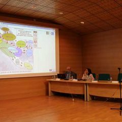 Cómo la tecnología cambia las guerras