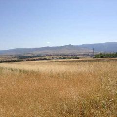 La lejana potabilizadora de Gallococeado