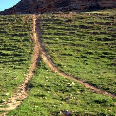 ‘Aurrulaque 2016’. Manifiesto.