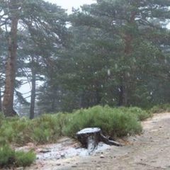 De la ola de calor a nevar en la Sierra en 7 días