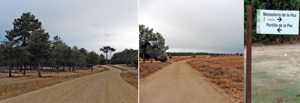 Camino de La Lastra hacia el convento de la Hoz, Sebulcor.