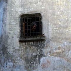 Un Don Tancredo grupal, un agujero sospechoso y un nombre original