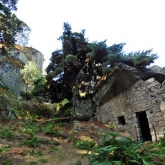 REFUGIOS XI: Peña la Casa (Peñalacasa)