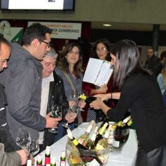 Un noviembre de vinos
