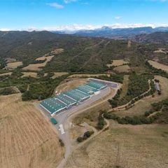 Premiada una granja de Cantespino al lograr más de 19 lechones por cerda
