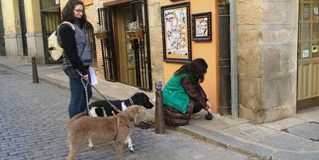 Segovia obligará a limpiar la orina de los perros con agua jabonosa