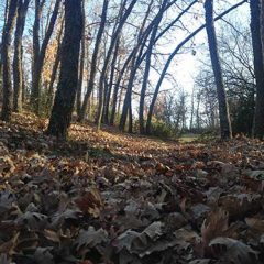 Un tipo peligroso, un palacio renovado y una ordenanza que no importa