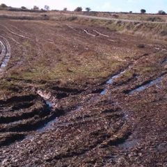 El turismo rural pide prohibir el vertido de purín también los viernes