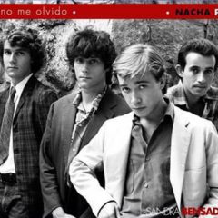 Las cien imágenes de Nacha Pop, en el Shout