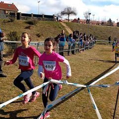 400 escolares finalizan el provincial de Campo a Través