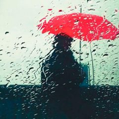 Patria, la gran novela del País Vasco