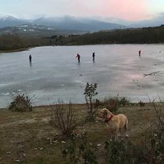 Unas cifras ajustadas, un estudio empírico y un poco de frío