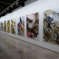 El universo de Carlos León en el Esteban Vicente