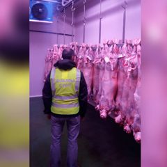 Investigan un nuevo fraude masivo en la IGP Lechazo de Castilla y León
