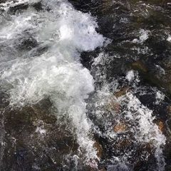 El agua de los políticos