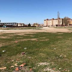 El estímulo del paramecio