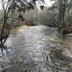 Prados pisoteados, un concejal hablador y una chispa eléctrica