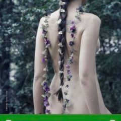 Concurso Captadores de Imágenes 2017