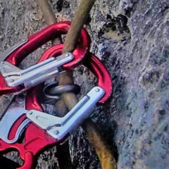 Ciclos de Montaña 2017