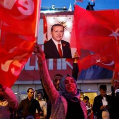 Contra la democracia participativa