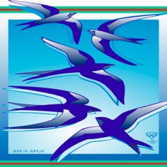 VII Jornadas de Naturaleza (Librería Antares) Segovia