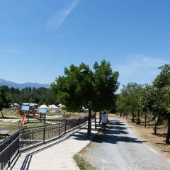 Feria de la cerveza de San Cristóbal