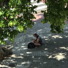 Un martillazo magistral, un donativo y un hombre desconfiado