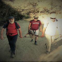 Romería Malangosto 2017