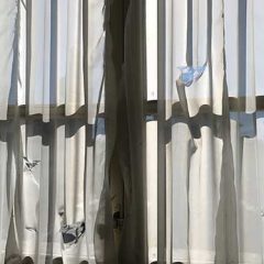 Palacios sin reyes, montes pelaos y una parcela vacía