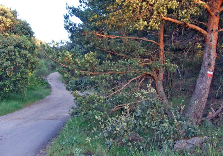Las capillitas del río Peces (Mujer Muerta) | Acueducto2