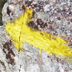 Semana Cultural del Camino de Santiago