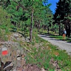 GR88, un Sendero segoviano (I)