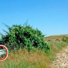 GR88, un Sendero segoviano (II)