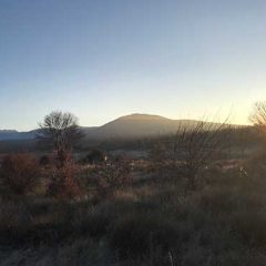 Muchas chispas sueltas para ser Navidad