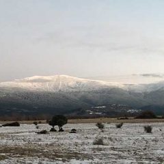 De la huerta al teatro en autobús