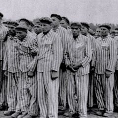 Nuevos estudios aumentan la lista de segovianos muertos en Mauthausen