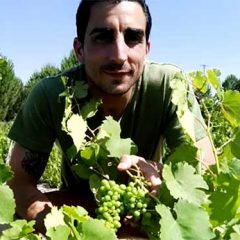 Crowdfunding para recuperar la ‘uva vieja’ de Adrados