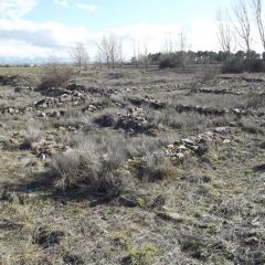 Aguilafuente quiere abrir a visitas la villa romana de Santa Lucía