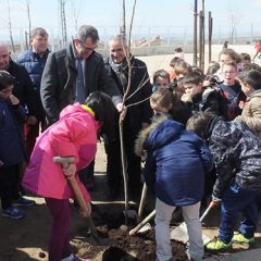 El Día del Árbol echa raíces en La Lastrilla