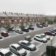 Igual puedes tapar un genital que un currículo