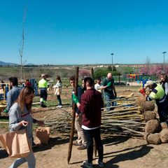 Un bosque de ‘alta graduación’ en Palazuelos