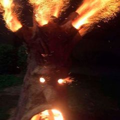 Árboles de fuego y piaras fantasma, el barro cobra vida en Cabañas de Polendos