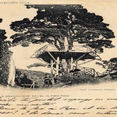 Jardines y bosque del palacio de La Granja (paseo intramuros) 2